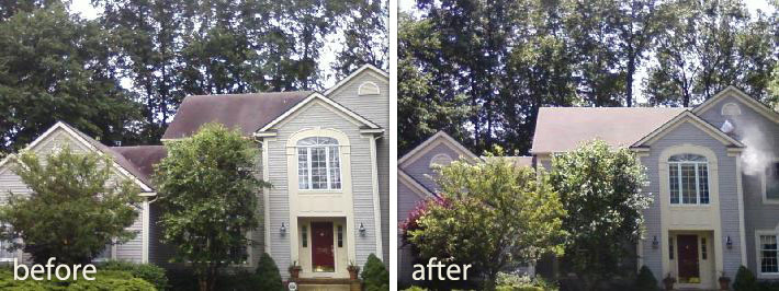 Before & After Roof Cleaning Photos
