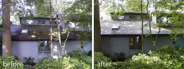 Before & After Roof Cleaning Photos