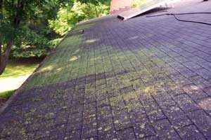 roof cleaning for algae, mold, moss, and lichens