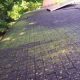 roof cleaning for algae, mold, moss, and lichens